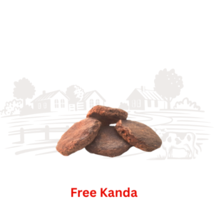Organic Gir Cow Upla Kanda 4 Pieces | Natural Cow Dung Cakes by NutriGanic