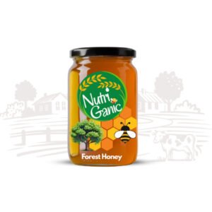Pure Forest Honey 1kg Jar by NutriGanic - Natural Premium Honey