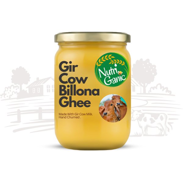 500ml Gir Cow Bilona A2 Ghee | NutriGanic 500ml Gir Cow Bilona A2 Ghee in Glass Jar by NutriGanic