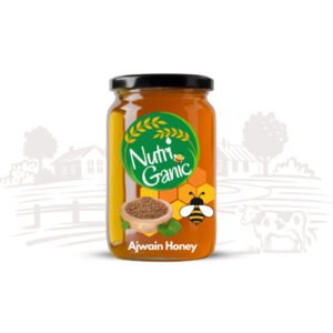 Ajwain Honey 1kg Jar by NutriGanic - Pure Natural Floral Honey