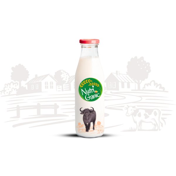 Creamy Buffalo Milk 500ml | NutriGanic Creamy Buffalo Milk 500ml by NutriGanic - Fresh Farm Buffalo Milk