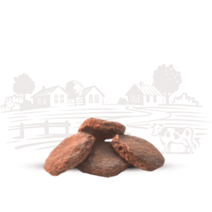 NutriGanic Upla Kanda 10 Pieces - Natural Cow Dung Cakes for Puja & Havan